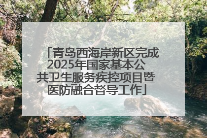 青岛西海岸新区完成2025年国家基本公共卫生服务疾控项目暨医防融合督导工作