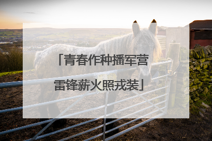 青春作种播军营 雷锋薪火照戎装