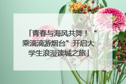 青春与海风共舞！“乘滴滴游烟台”开启大学生浪漫读城之旅