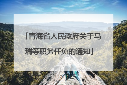 青海省人民政府关于马瑞等职务任免的通知