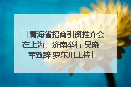 青海省招商引资推介会在上海、济南举行 吴晓军致辞 罗东川主持