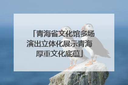 青海省文化馆多场演出立体化展示青海厚重文化底蕴