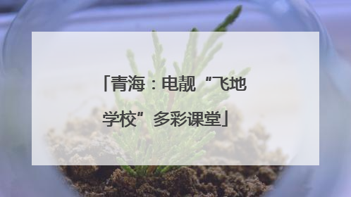 青海：电靓“飞地学校”多彩课堂