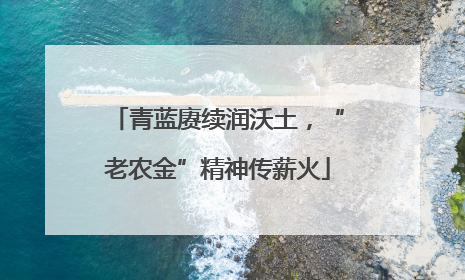 青蓝赓续润沃土，“老农金”精神传薪火