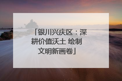 银川兴庆区：深耕价值沃土 绘制文明新画卷