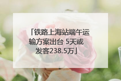 铁路上海站端午运输方案出台 5天或发客238.5万