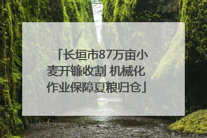 长垣市87万亩小麦开镰收割 机械化作业保障夏粮归仓