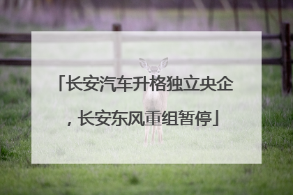长安汽车升格独立央企，长安东风重组暂停