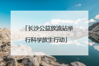 长沙公益放流站举行科学放生行动