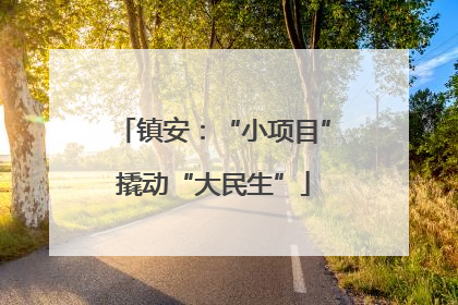 镇安：“小项目”撬动“大民生”