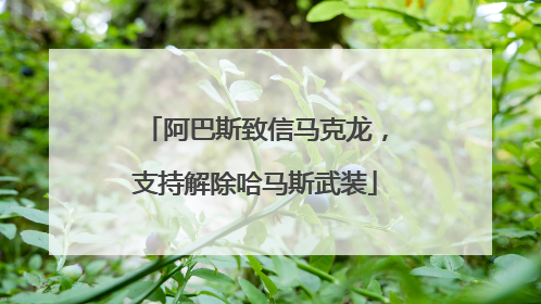 阿巴斯致信马克龙，支持解除哈马斯武装