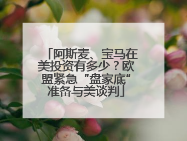 阿斯麦、宝马在美投资有多少？欧盟紧急“盘家底”准备与美谈判