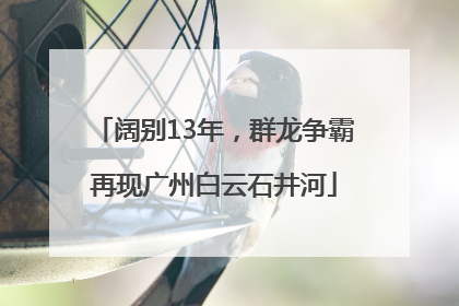 阔别13年，群龙争霸再现广州白云石井河