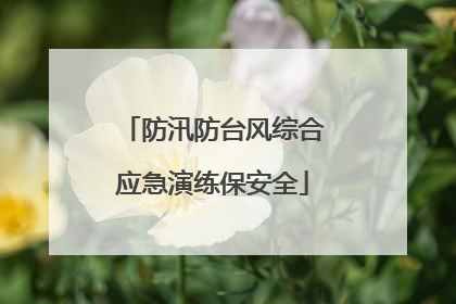 防汛防台风综合应急演练保安全