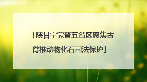陕甘宁蒙晋五省区聚焦古脊椎动物化石司法保护