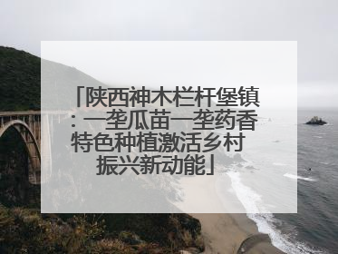 陕西神木栏杆堡镇：一垄瓜苗一垄药香 特色种植激活乡村振兴新动能