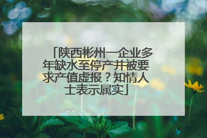陕西彬州一企业多年缺水至停产并被要求产值虚报？知情人士表示属实