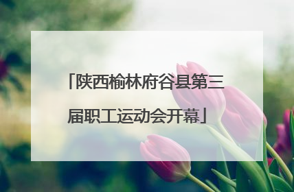 陕西榆林府谷县第三届职工运动会开幕