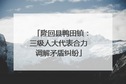 隆回县鸭田镇：三级人大代表合力调解矛盾纠纷