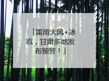 雷雨大风+冰雹，甘肃多地发布预警！