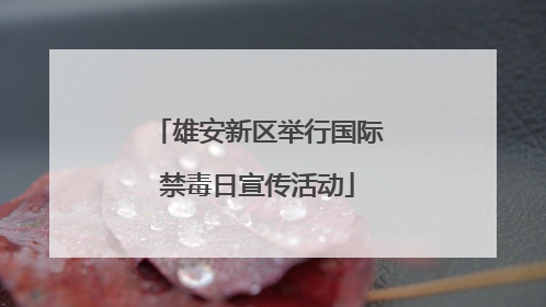 雄安新区举行国际禁毒日宣传活动