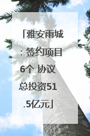雅安雨城：签约项目6个 协议总投资51.5亿元