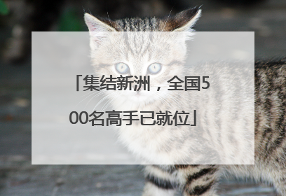 集结新洲，全国500名高手已就位