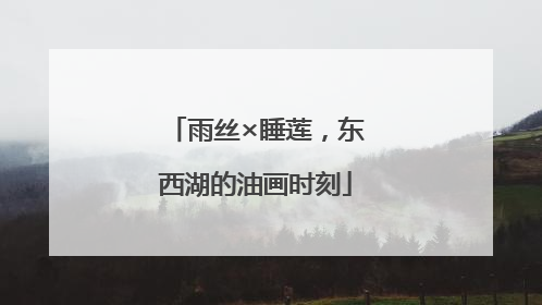 雨丝×睡莲，东西湖的油画时刻