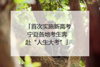 首次实施新高考 宁夏各地考生奔赴“人生大考”