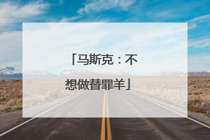 马斯克：不想做替罪羊