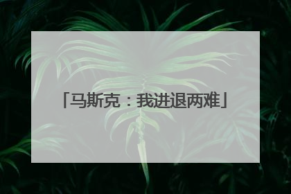 马斯克：我进退两难