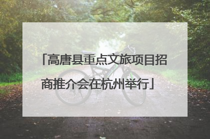高唐县重点文旅项目招商推介会在杭州举行
