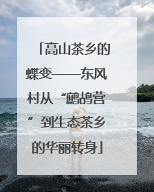 高山茶乡的蝶变——东风村从“鹧鸪营”到生态茶乡的华丽转身