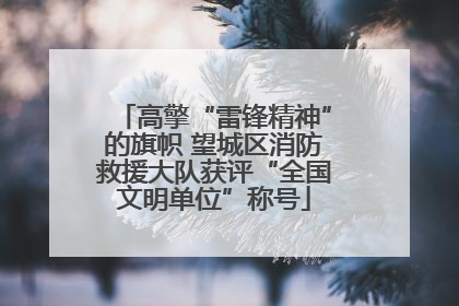 高擎“雷锋精神”的旗帜 望城区消防救援大队获评“全国文明单位”称号