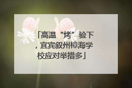 高温“烤”验下，宜宾叙州樟海学校应对举措多