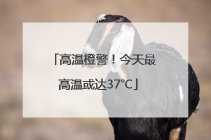 高温橙警！今天最高温或达37℃