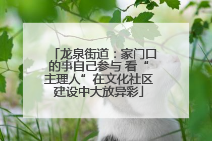 龙泉街道：家门口的事自己参与 看“主理人”在文化社区建设中大放异彩