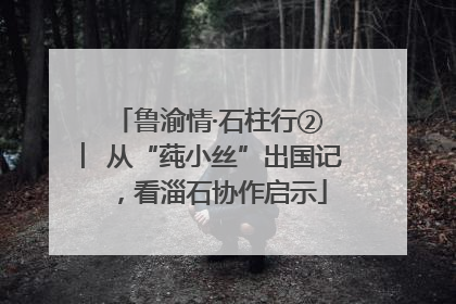 鲁渝情·石柱行② ︳从“莼小丝”出国记，看淄石协作启示