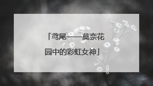 鸢尾——莫奈花园中的彩虹女神