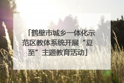 鹤壁市城乡一体化示范区教体系统开展“夏至”主题教育活动