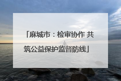 麻城市：检审协作 共筑公益保护监督防线