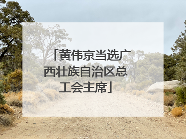 黄伟京当选广西壮族自治区总工会主席