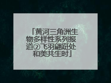黄河三角洲生物多样性系列报道②飞羽翩跹处 和美共生时
