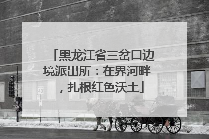 黑龙江省三岔口边境派出所：在界河畔，扎根红色沃土