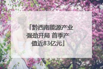 黔西南能源产业强劲开局 首季产值近83亿元