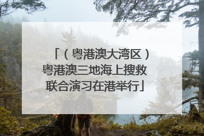 （粤港澳大湾区）粤港澳三地海上搜救联合演习在港举行
