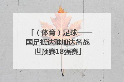 （体育）足球——国足抵达雅加达备战世预赛18强赛