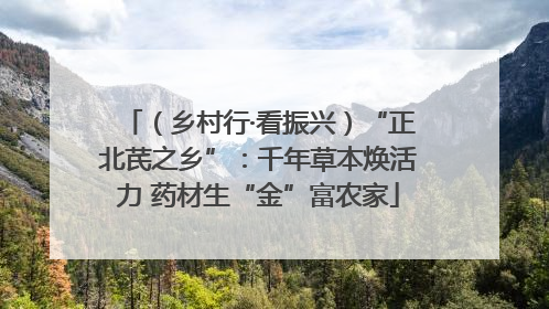 （乡村行·看振兴）“正北芪之乡”：千年草本焕活力 药材生“金”富农家