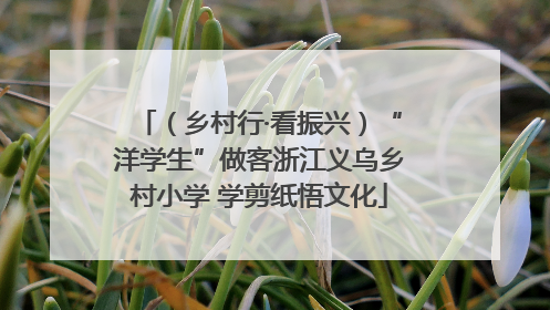 （乡村行·看振兴）“洋学生”做客浙江义乌乡村小学 学剪纸悟文化
