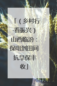 （乡村行·看振兴）山西临汾：保电到田间 抗旱保丰收